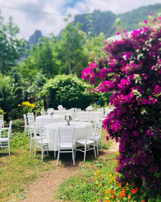 Dilara Çiçekçilik ve Organizasyon