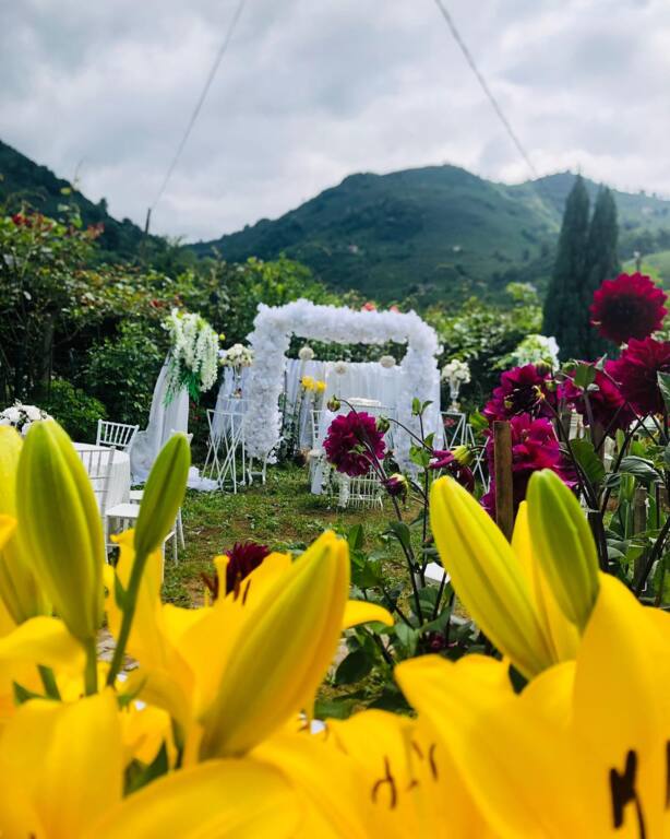 Dilara Çiçekçilik ve Organizasyon