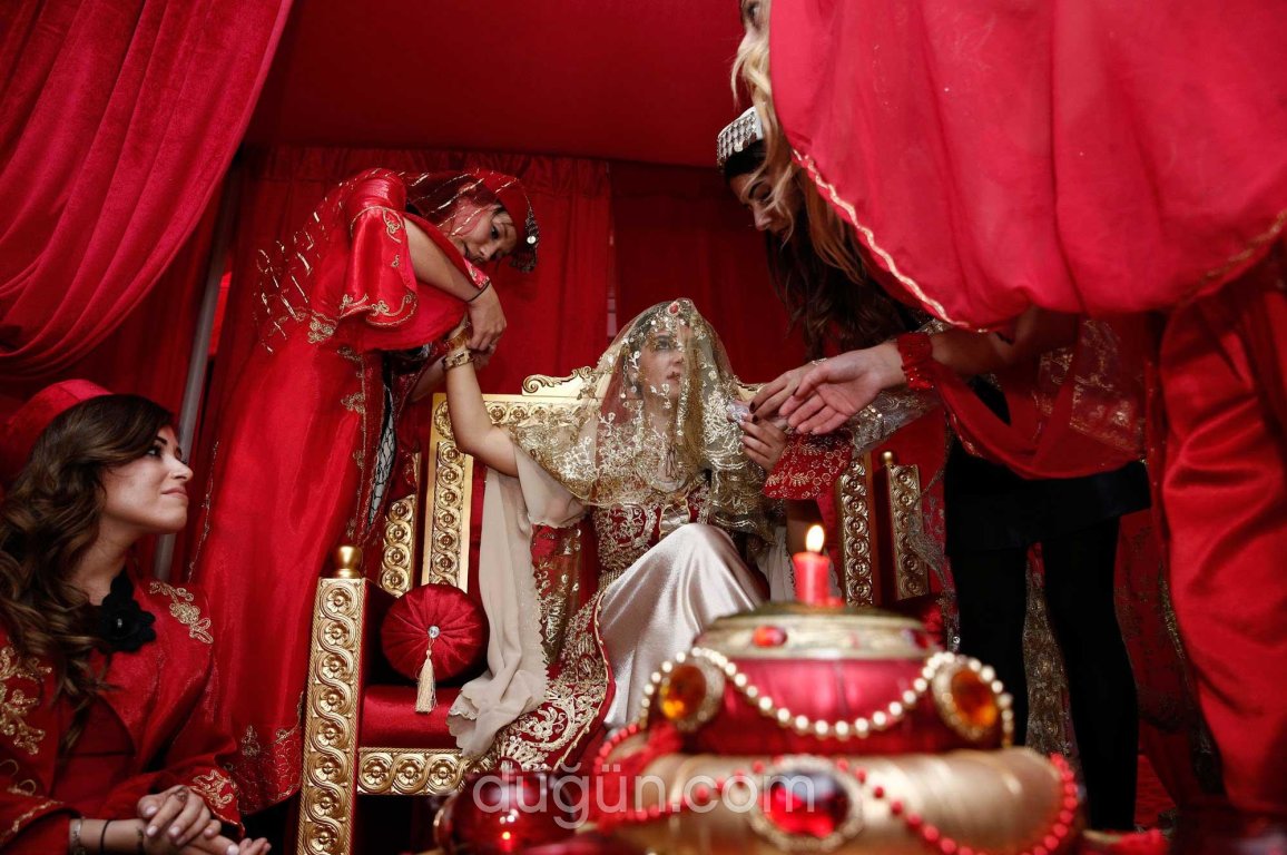 Favori Konsept Organizasyon