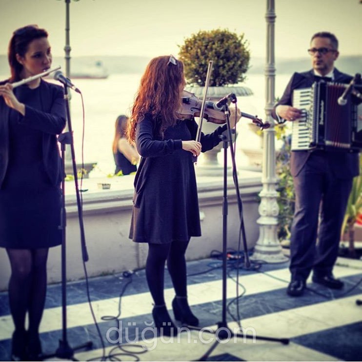 Tips Event Wedding Planning