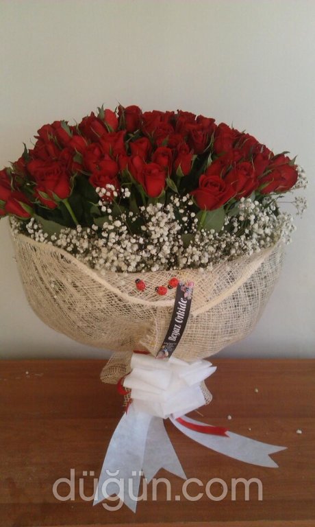 Beyaz Orkide Çiçekcilik