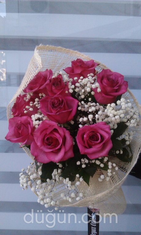 Beyaz Orkide Çiçekcilik