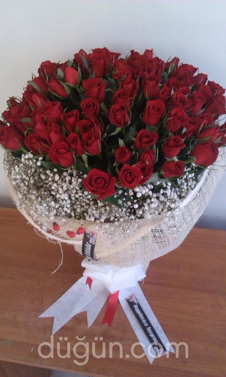 Beyaz Orkide Çiçekcilik