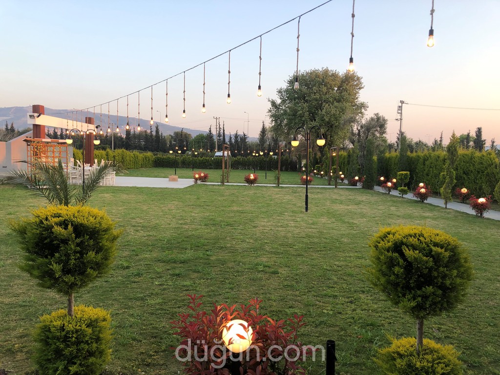 Mandalina Park