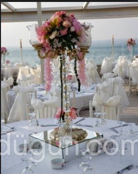 Zeytinli Koru Kocaeli Kır Düğünü