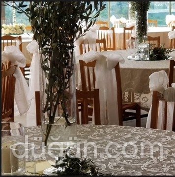 Zeytinli Koru Kocaeli Kır Düğünü