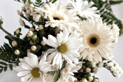 Menekşe Çiçekcilik