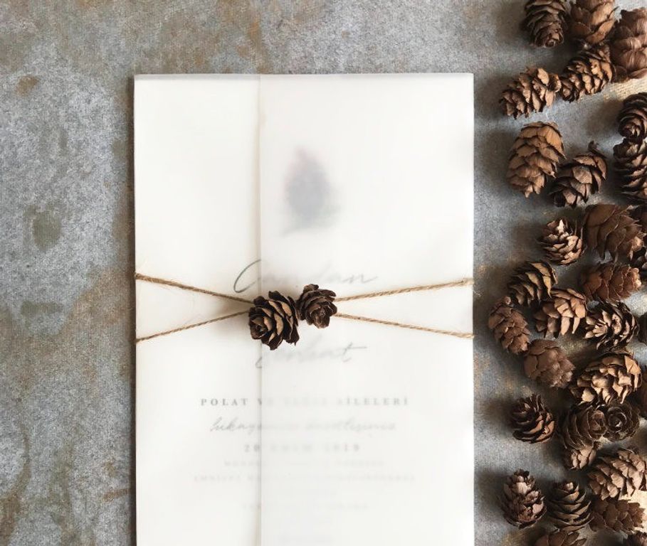 Kozalak Desenli Sade Davetiye Çizim Sade Düğün Davetiye 2