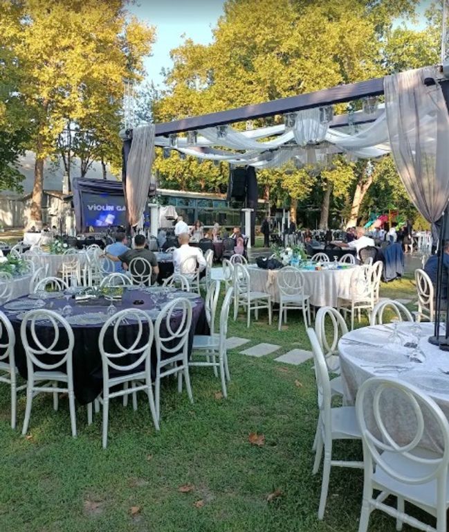 Violin Garden