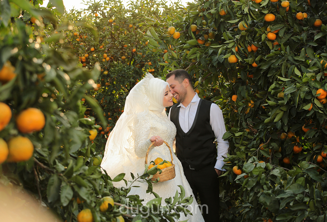 Sistem Fotoğrafçılık