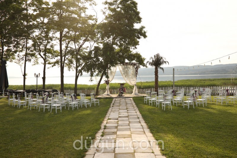 Picasso STK Kır Düğünü