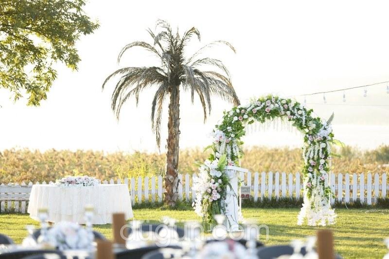 Picasso STK Kır Düğünü