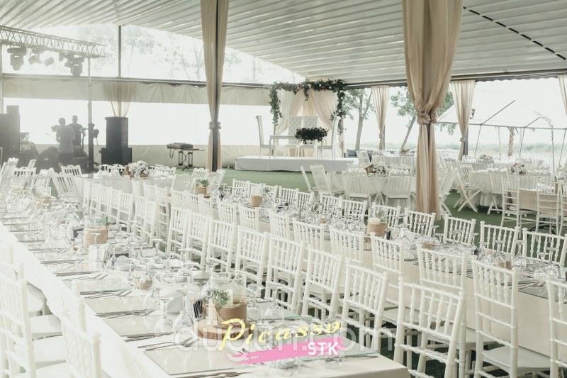 Picasso STK Kır Düğünü