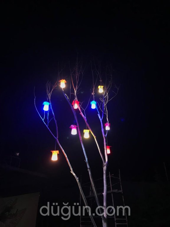 Roza Park Kır Düğünü