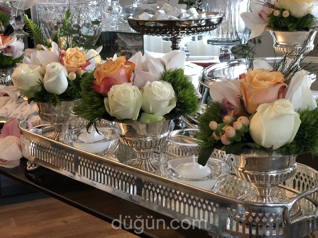 Mansion Event Organization