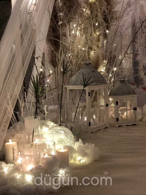 Mansion Event Organization