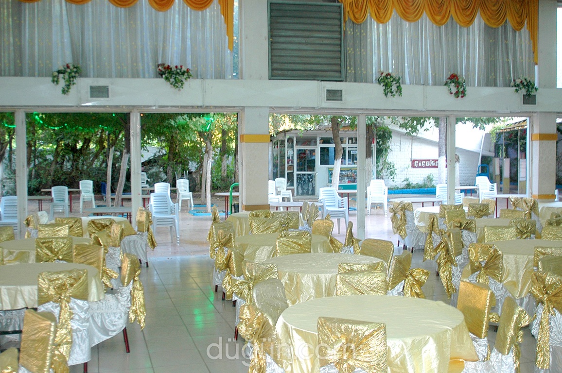 Hollywood Gold Plaza