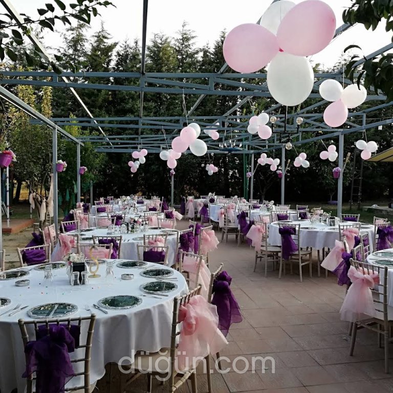 Rose Garden Kır Bahçesi