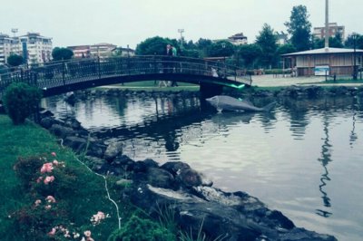 Göl Wedding Garden