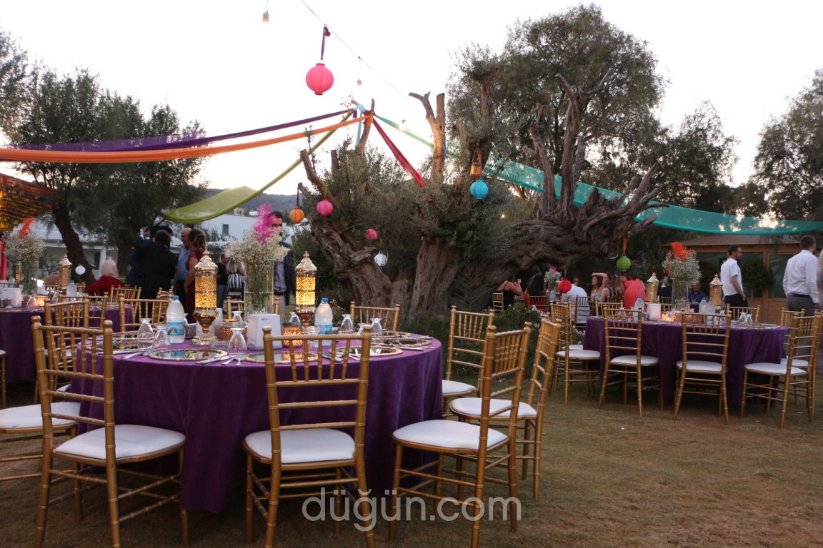 Kefi Beach Kır Düğünü