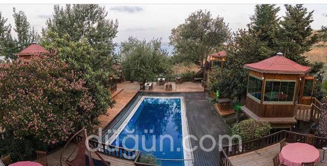 Safran Elite Restaurant