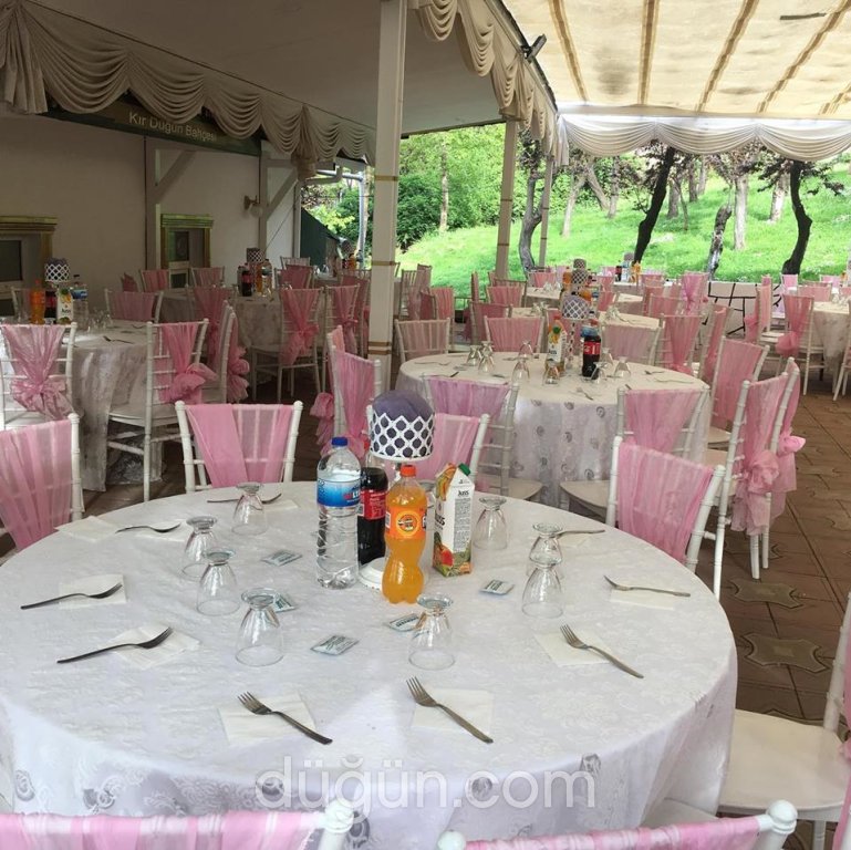 Temenyeri Kır Mekanı