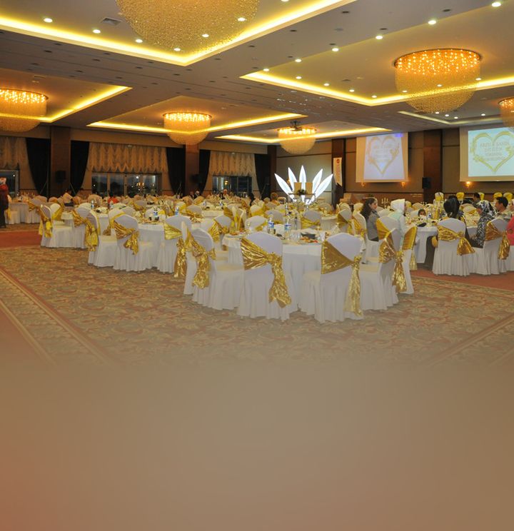 Ramada Plaza Altın Kayısı Otel