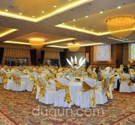 Ramada Plaza Altın Kayısı Otel