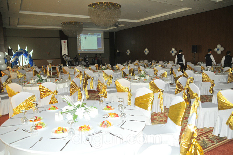 Ramada Plaza Altın Kayısı Otel