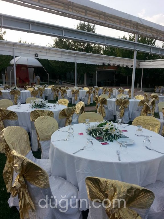 Mimoza Kır Düğün Bahçesi