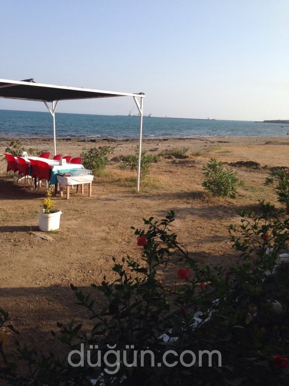 Mesut'un Yeri Balık Restaurant