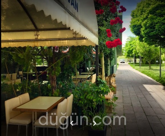 Divan Cafe & Restaurant