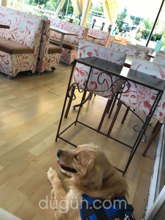 Divan Cafe & Restaurant