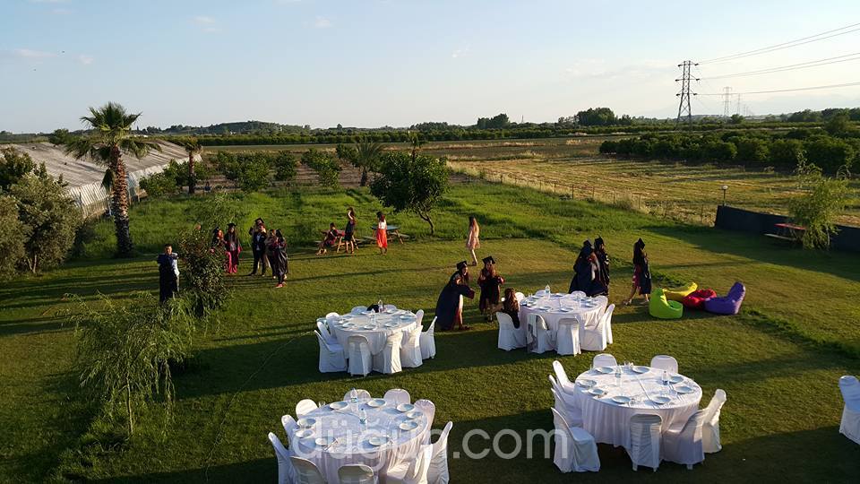 Bizim Park Kır Düğünü