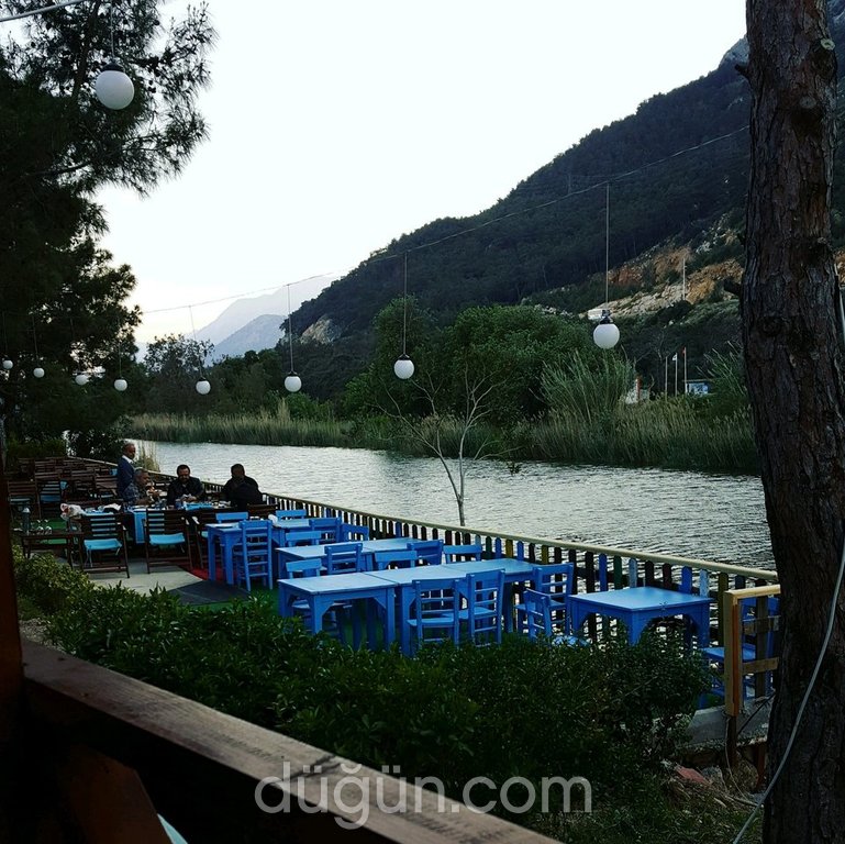 Tayfun Balıkçılık