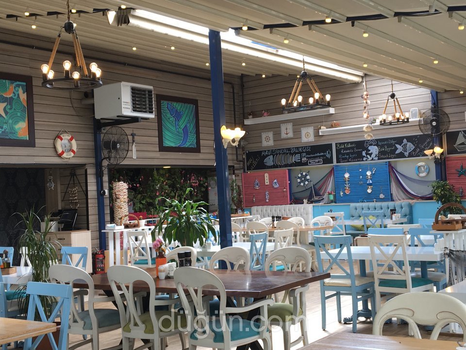 Mavi Sandal Balıkçısı