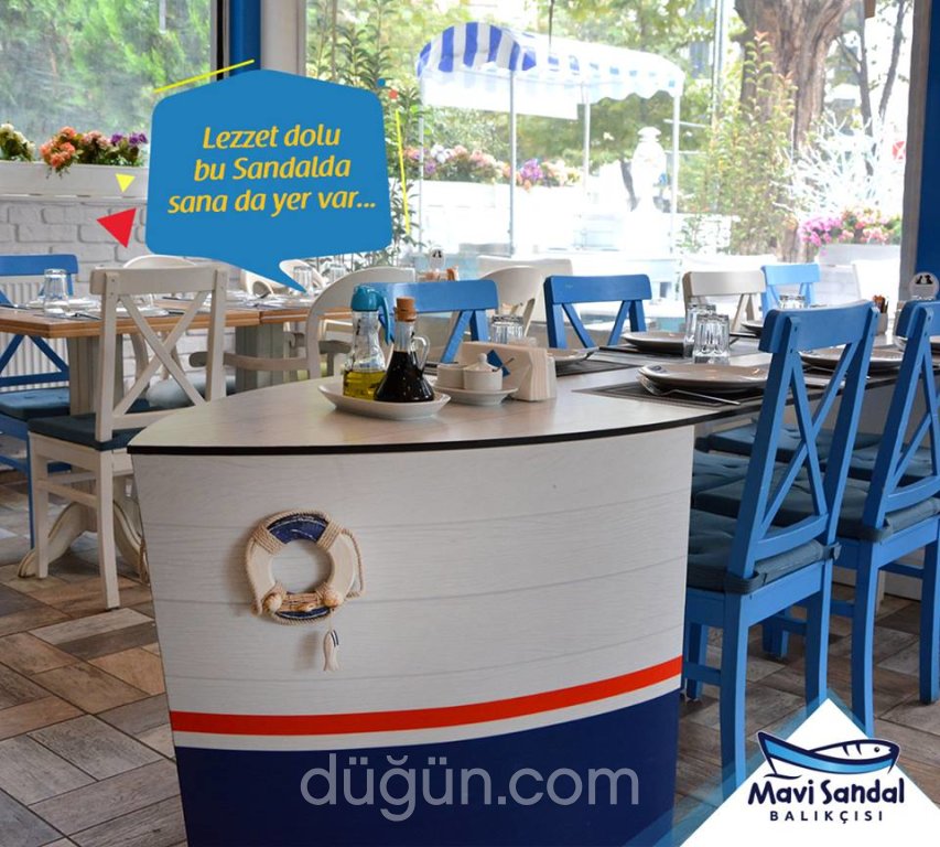 Mavi Sandal Balıkçısı