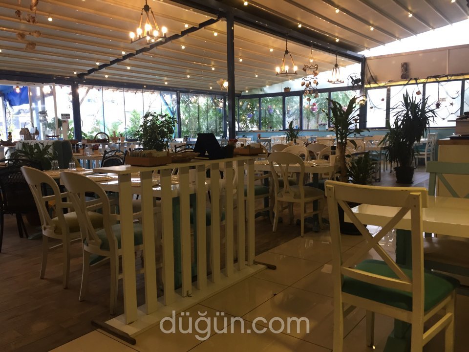 Mavi Sandal Balıkçısı