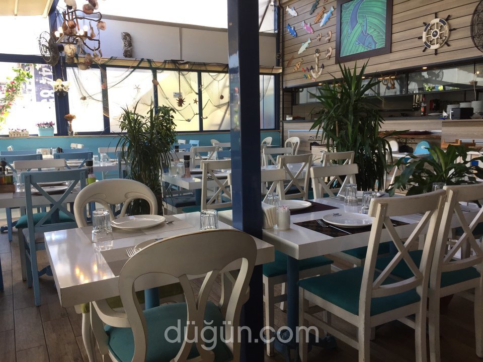 Mavi Sandal Balıkçısı