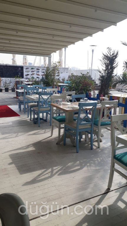 Mavi Sandal Balıkçısı