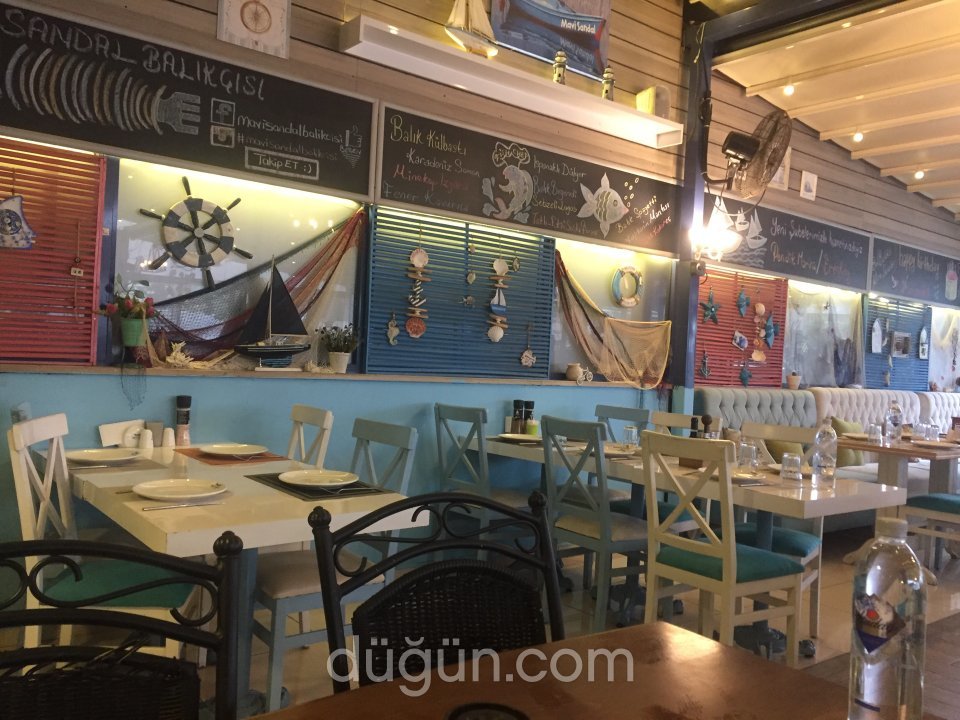 Mavi Sandal Balıkçısı