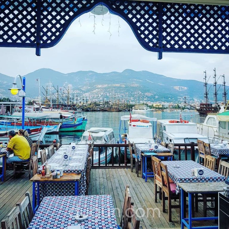 Bumba Balık