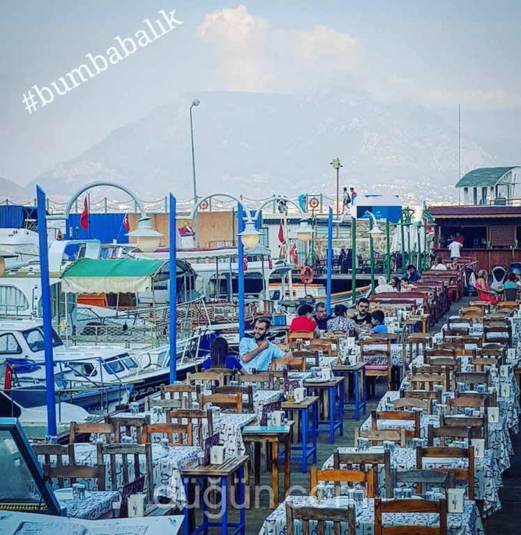 Bumba Balık
