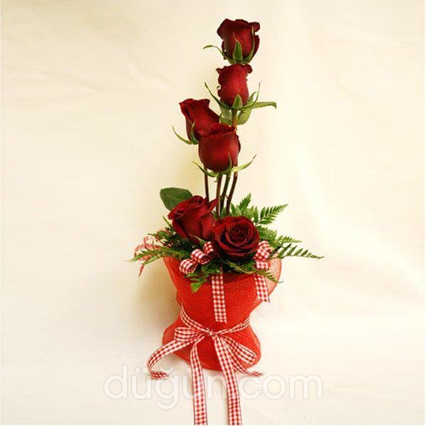 Dünya Çiçekçilik