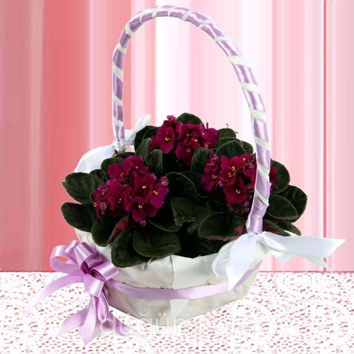 Dünya Çiçekçilik