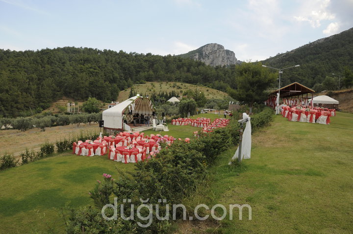 Alaş Kımız Çiftliği