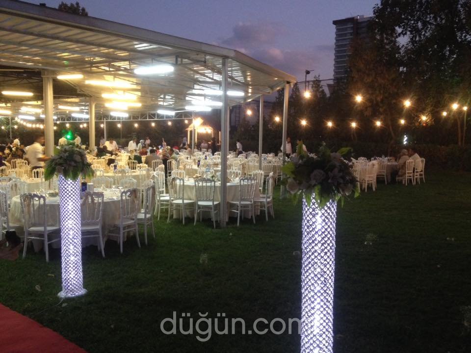 Turkuaz & Prenses & İpek Kır Bahçe