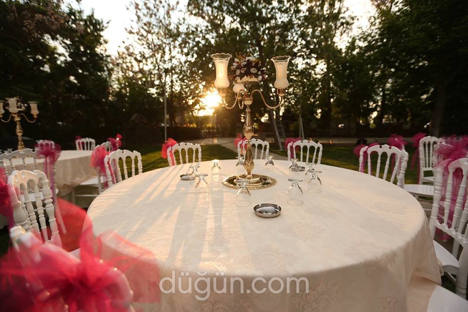 Turkuaz & Prenses & İpek Kır Bahçe