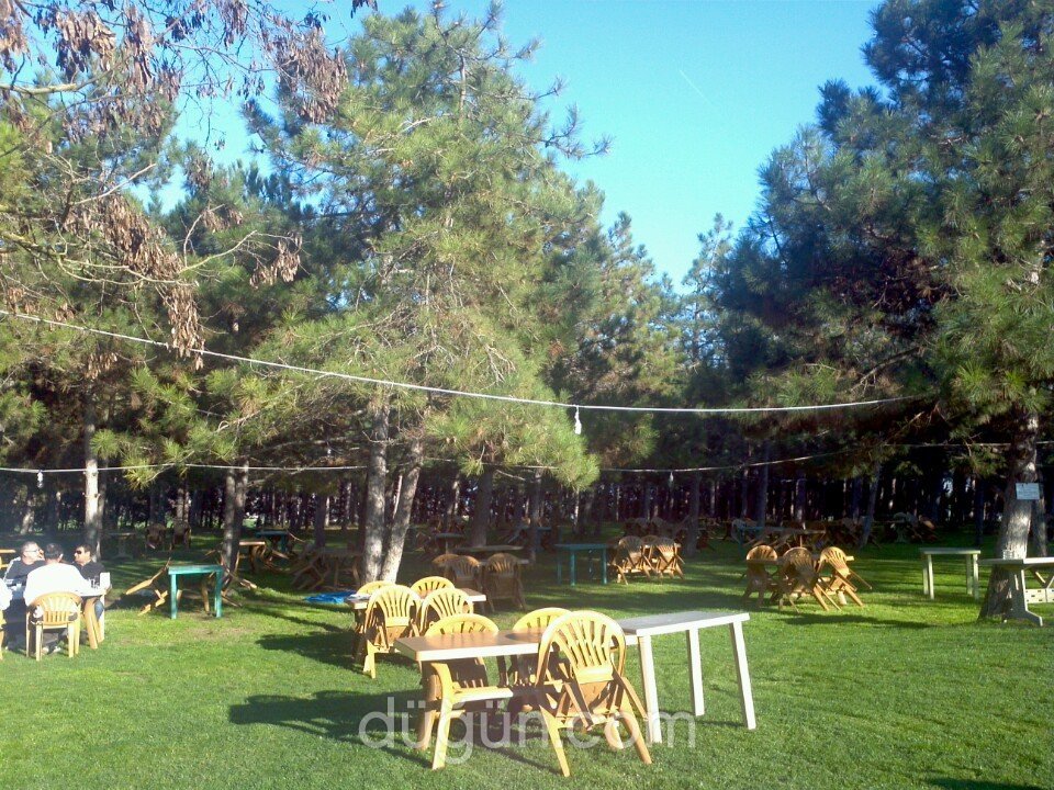 Çamlık Et Lokantası