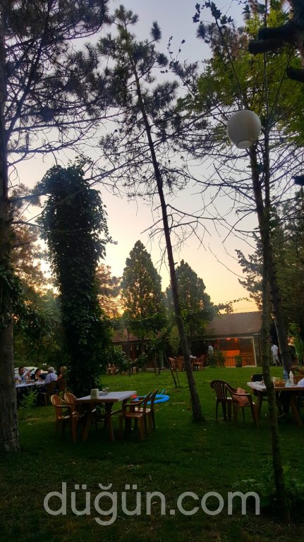 Çamlık Et Lokantası